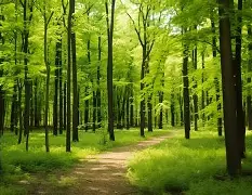 lol视频-峰度控股骆国峰